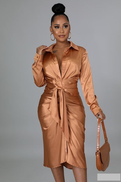 Nobi Silk Dress