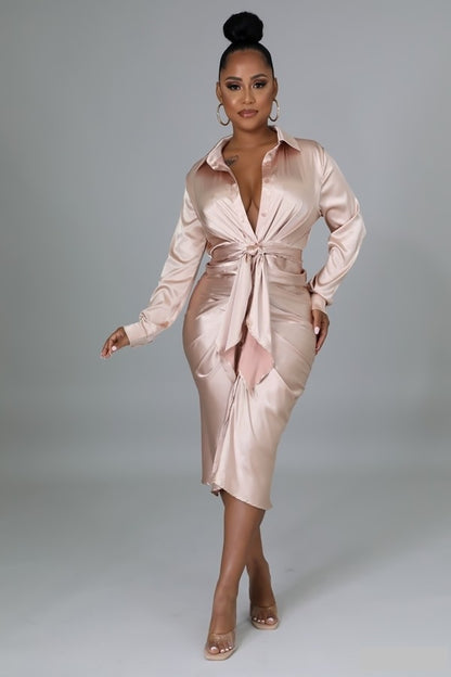 Nobi Silk Dress