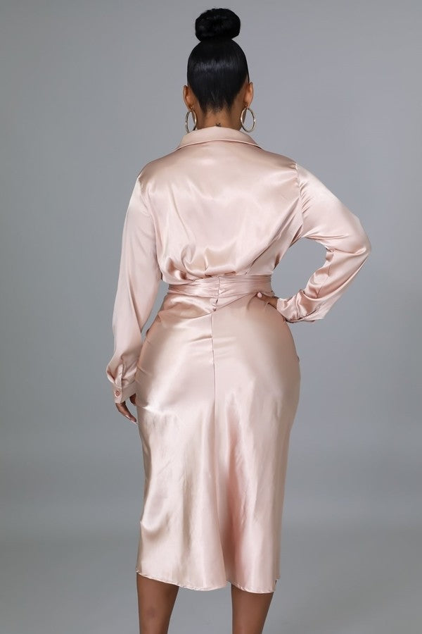 Nobi Silk Dress