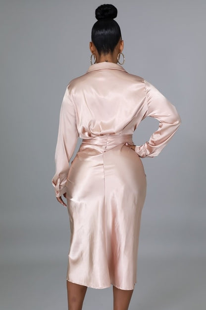 Nobi Silk Dress